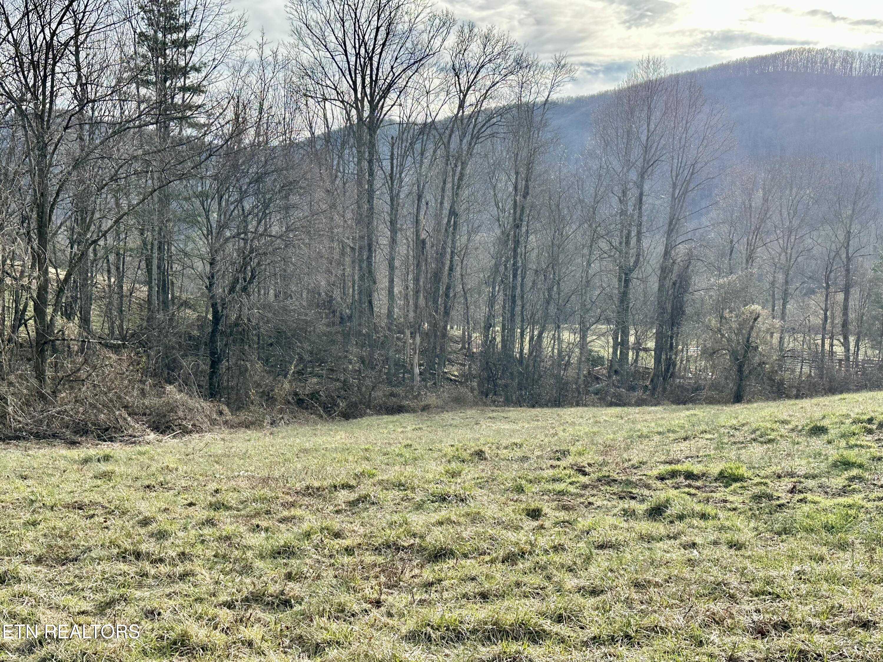 Mullins Lane Sunbright, TN 37872 - Photo 2 of 6 IMG_8476 (1)