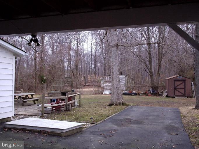 Back yard