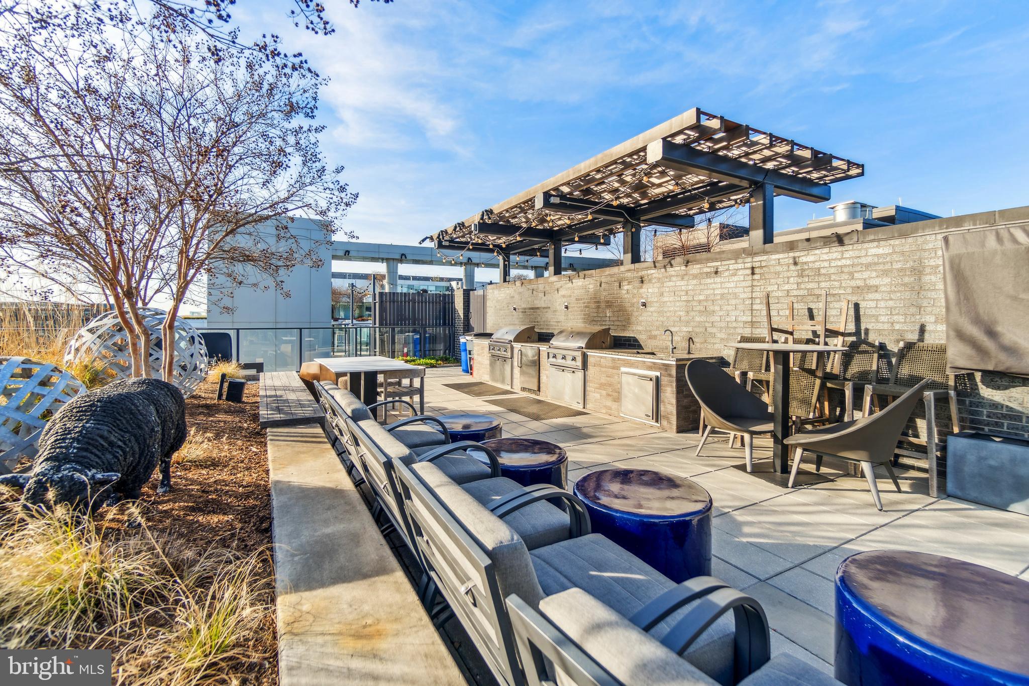 70 N Street Southeast, Unit 813 Washington, DC 20003 - Photo 25 of 30 Roof top with grills