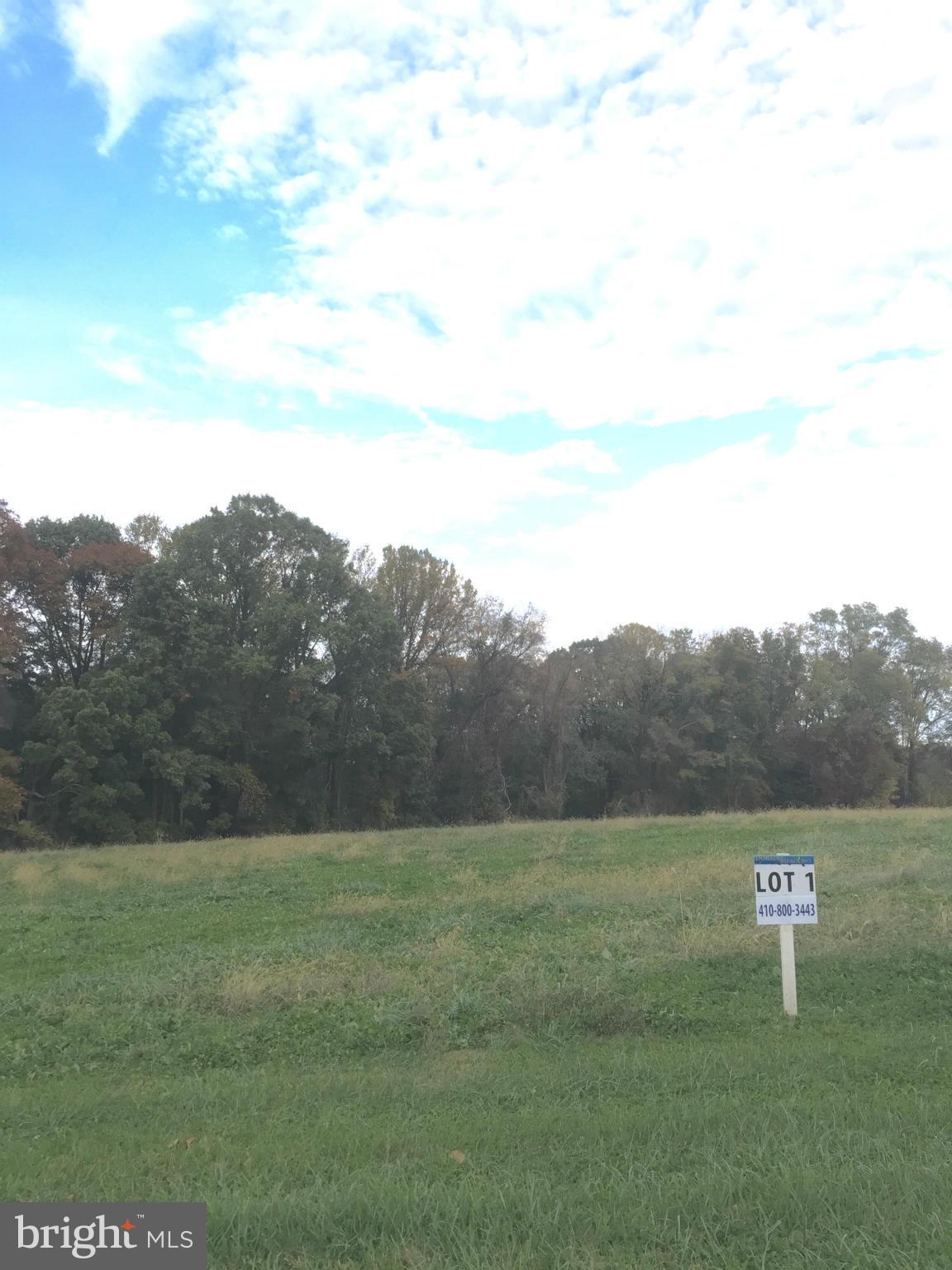 Galliac Drive Rising Sun, MD 21911 - Photo 7 of 8 View