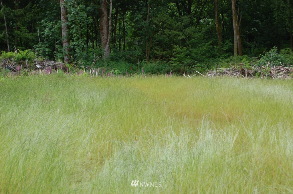 4900 156th Street Southeast Bothell, WA 98012 - Photo 1 of 1