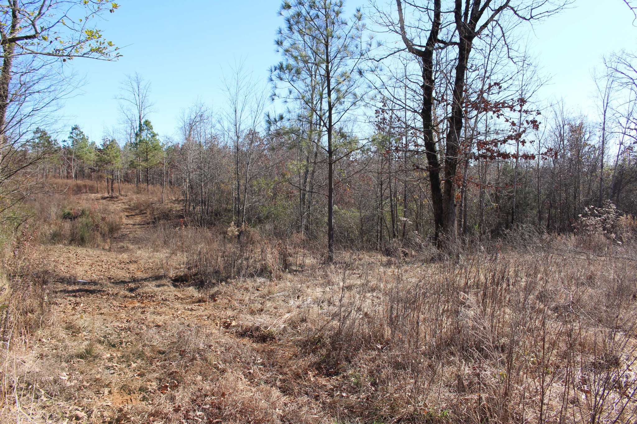 1031 Ridge Road Savannah, TN 38372 - Photo 2 of 9