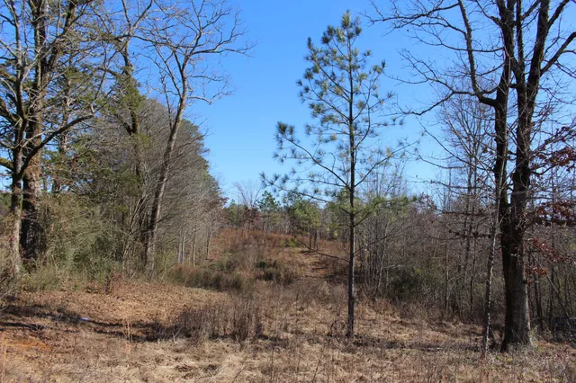 1031 Ridge Road, Savannah, TN 38372