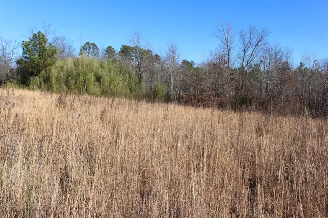 1031 Ridge Road, Savannah, TN 38372