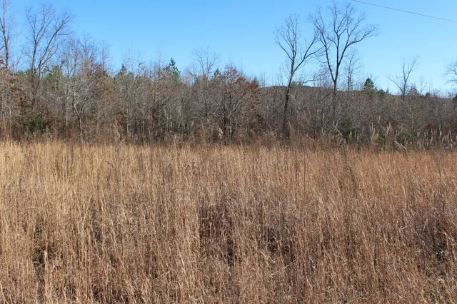 1031 Ridge Road, Savannah, TN 38372