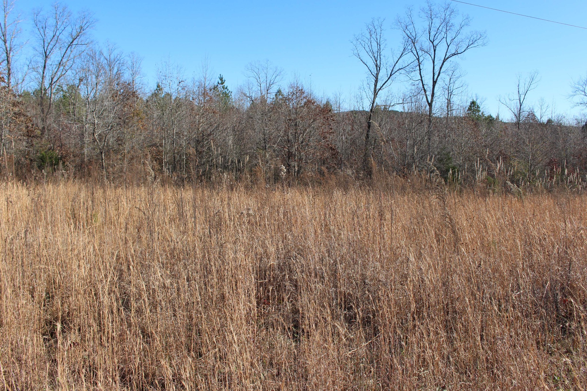 1031 Ridge Road Savannah, TN 38372 - Photo 5 of 9