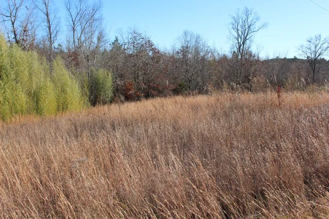 1031 Ridge Road, Savannah, TN 38372