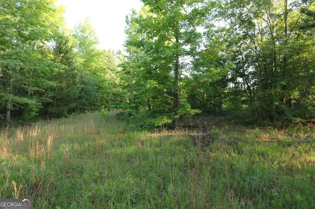 a view of a lush green forest next to a lake