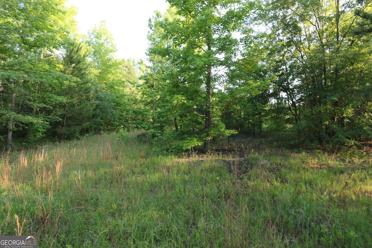 0 Kings Mill Road, Unit 6 Wrens, GA 30833 - Photo 12 of 23 a view of a lush green forest next to a lake