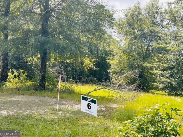 a view of a swimming pool with a yard