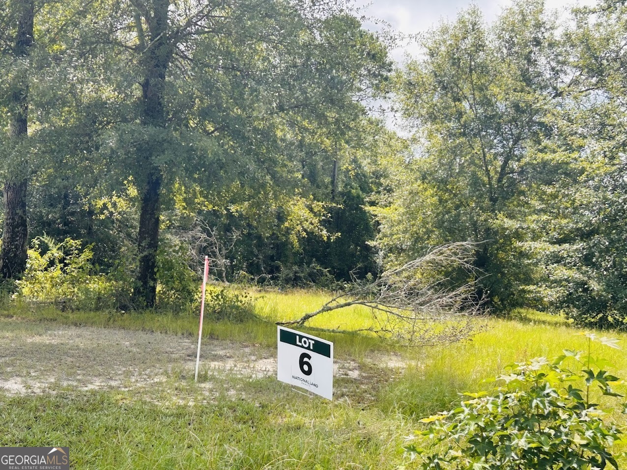 0 Kings Mill Road, Unit 6 Wrens, GA 30833 - Photo 3 of 23 a view of a swimming pool with a yard