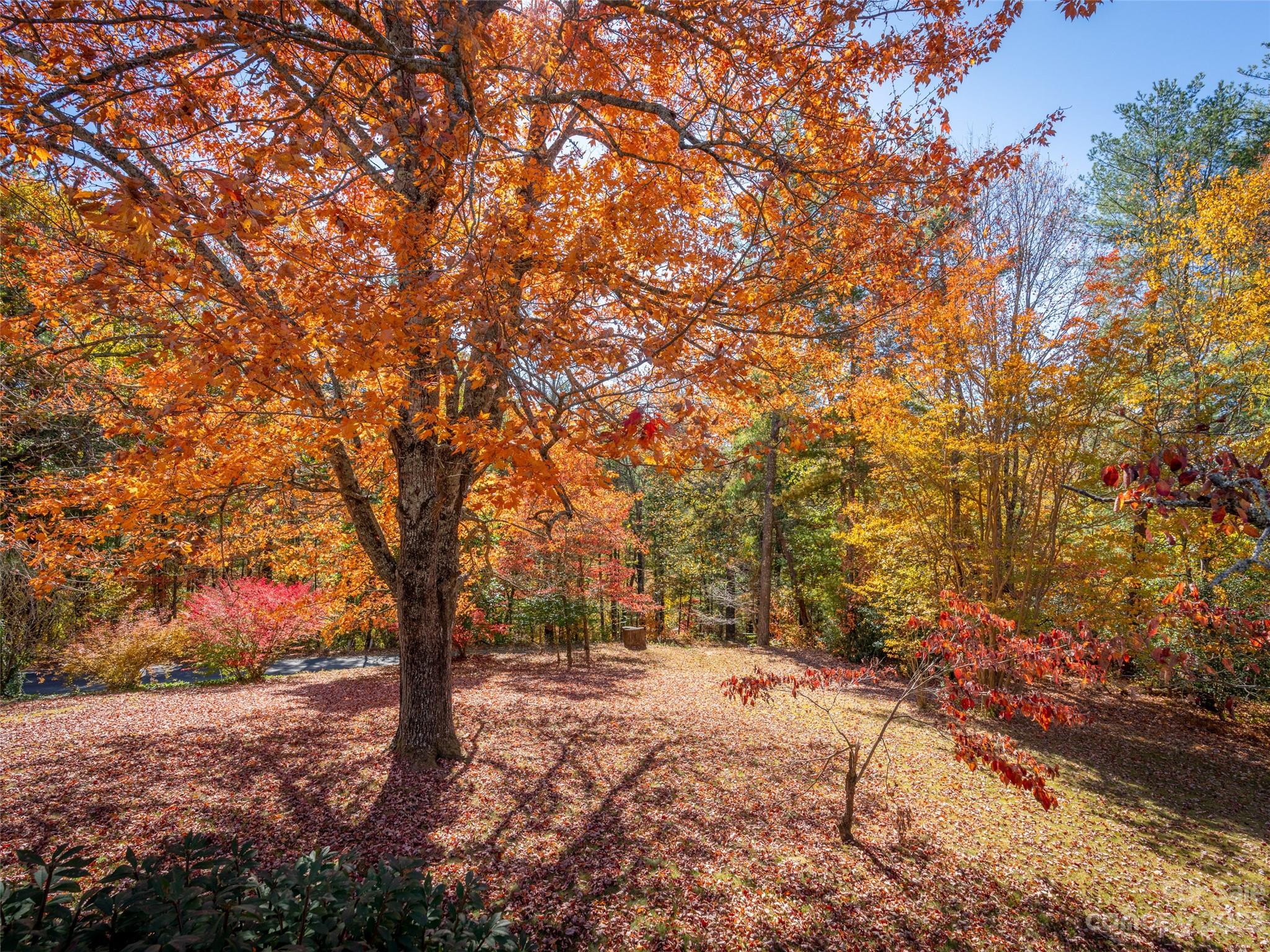34 Harrison Hill Road Swannanoa, NC 28778 - Photo 29 of 32 Gallery Image 29