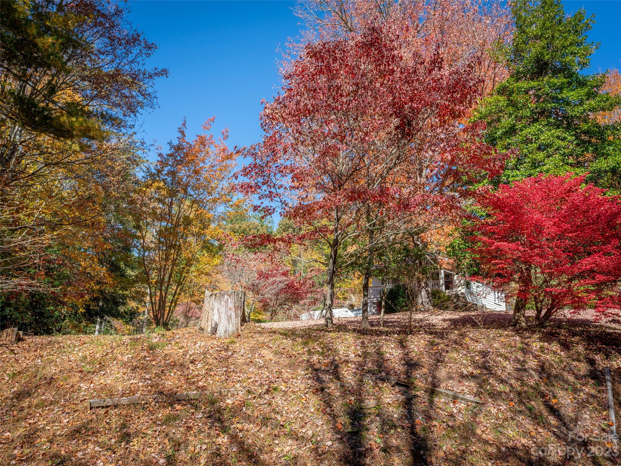 34 Harrison Hill Road Swannanoa, NC 28778 - Photo 30 of 32 Gallery Image 30