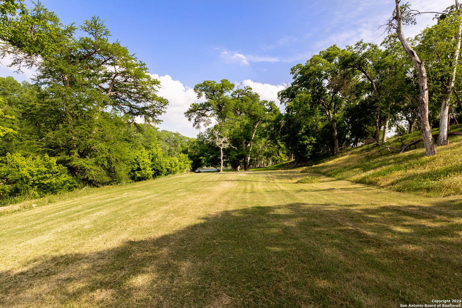 1434 Whispering Water Spring Branch, TX 78070 - Photo 41 of 45 a view of a yard with swimming pool