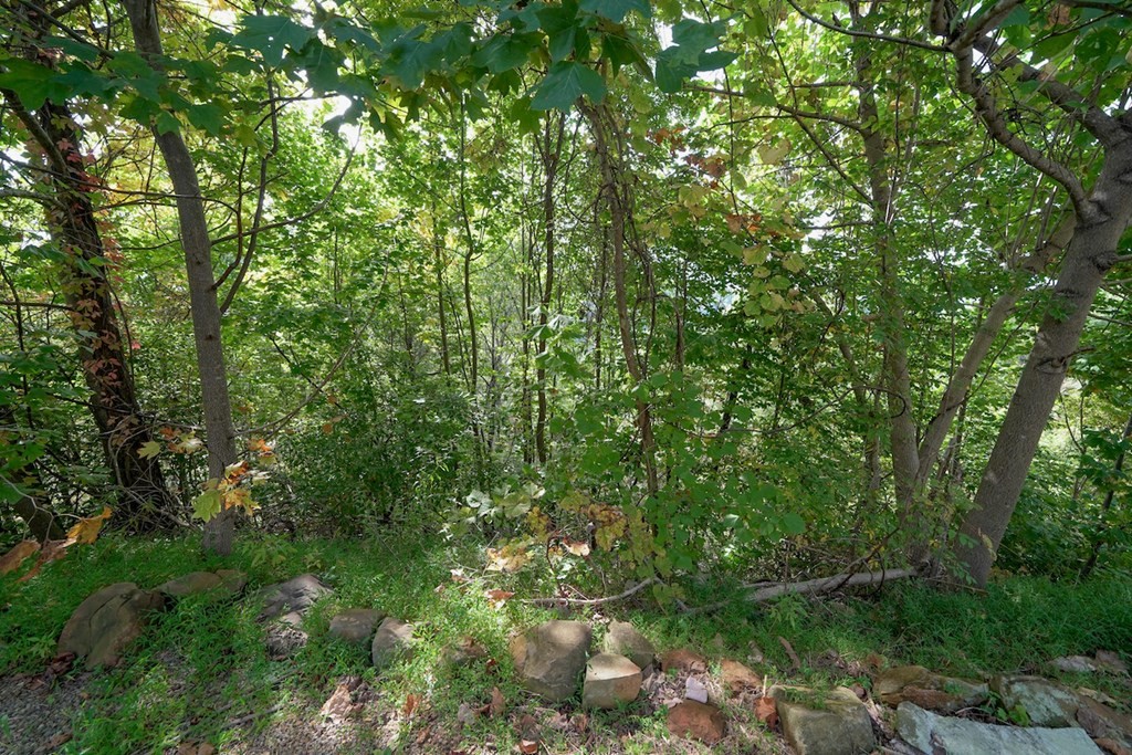 0 Old Field Ridge Way Gatlinburg, TN 37738 - Photo 5 of 14 Gallery Image 5