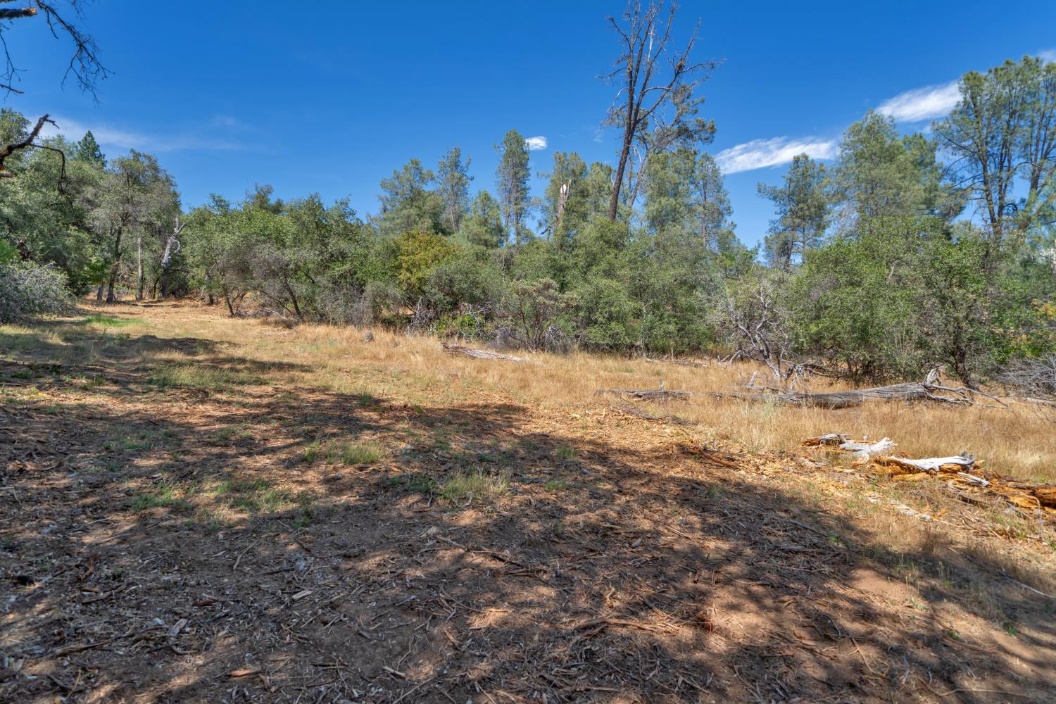 0 Leaning Tree Road Placerville, CA 95667 - Photo 4 of 15