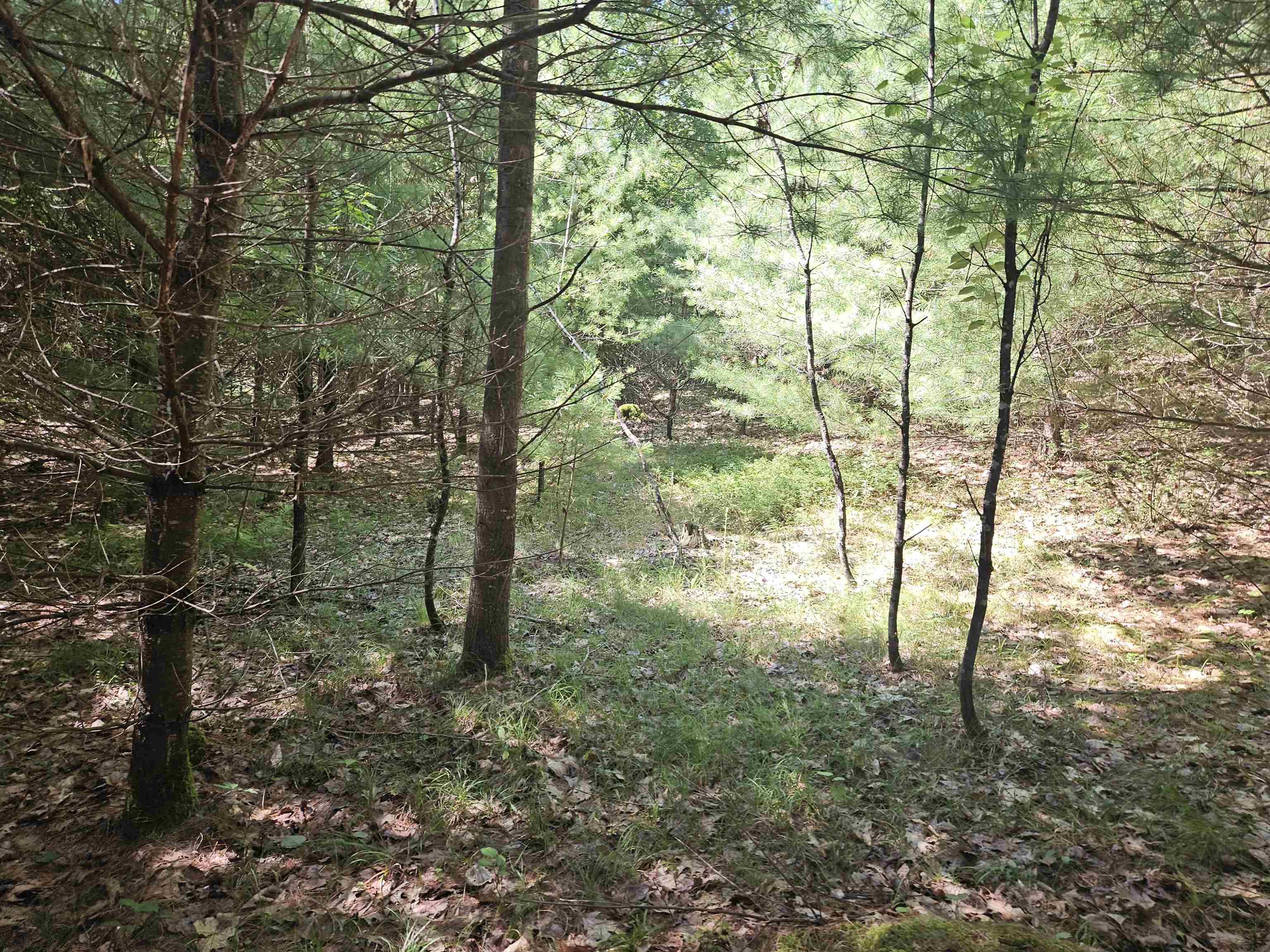 Lot 3.2 Off Parker Road Lisbon, NH 03585 - Photo 10 of 29 Gallery Image 10
