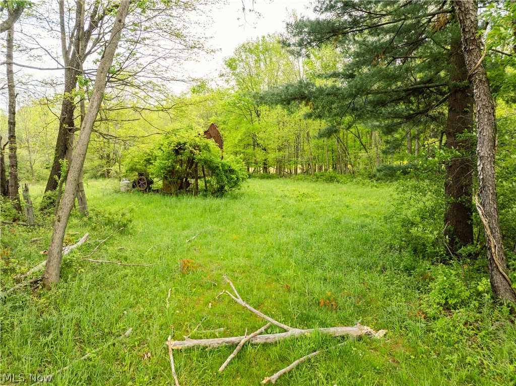 Garver Road Mansfield, OH 44903 - Photo 23 of 48