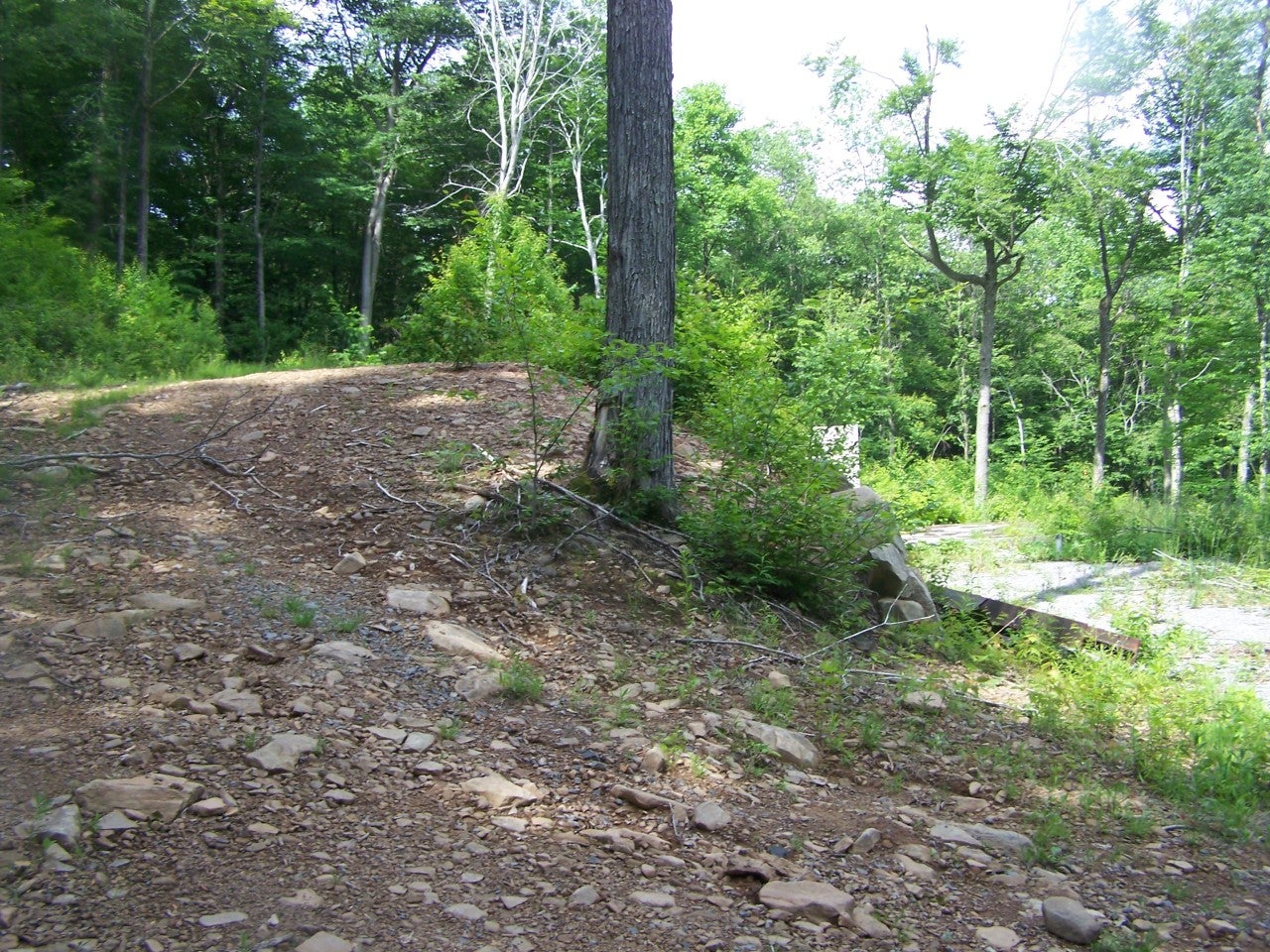16 Cherry Grove Road Slatyfork, WV 26291 - Photo 13 of 19 Gallery Image 13