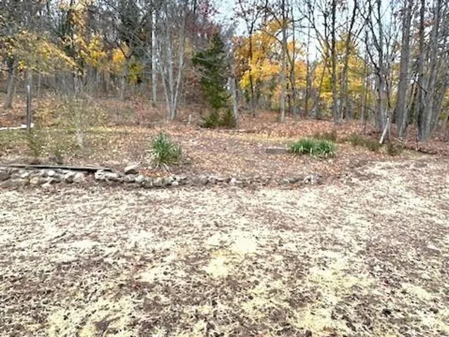 a view of a yard with a tree