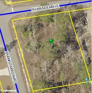1 Lark Sparrow Road Weeki Wachee, FL 34614 - Photo 1 of 1 Gallery Image 1