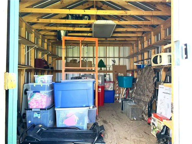 a view of garden with trees