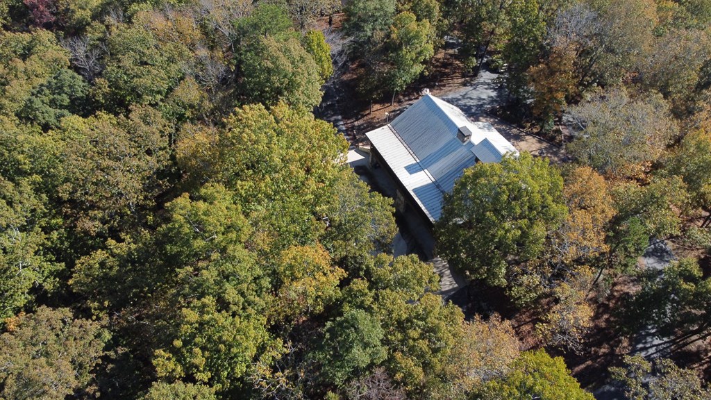 739 Barnes Mill Road Hamilton, GA 31811 - Photo 6 of 93 Gallery Image 6