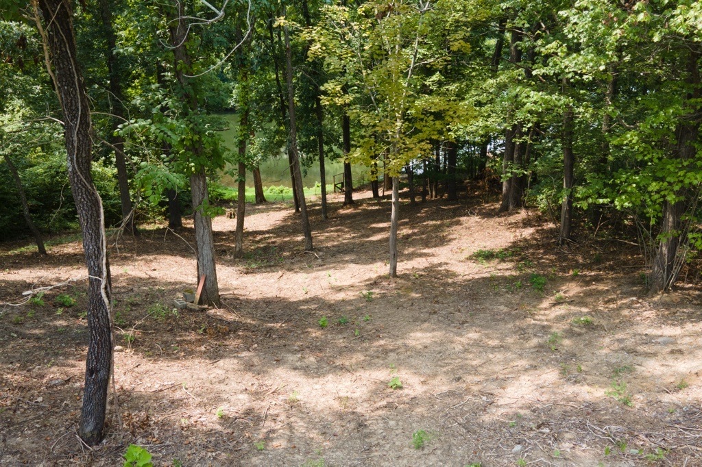 0 Wright Road Carbondale, IL 62902 - Photo 6 of 8 Gallery Image 6