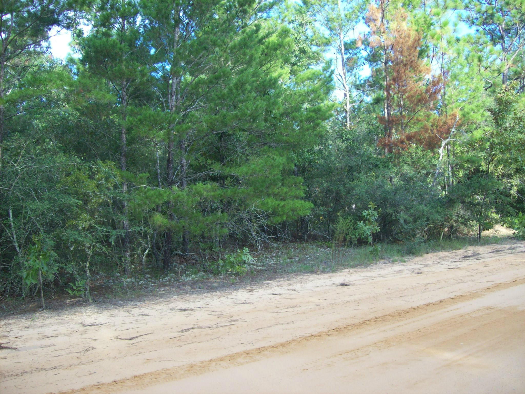 Xxx Randi Road Crestview, FL 32539 - Photo 1 of 5 Gallery Image 1