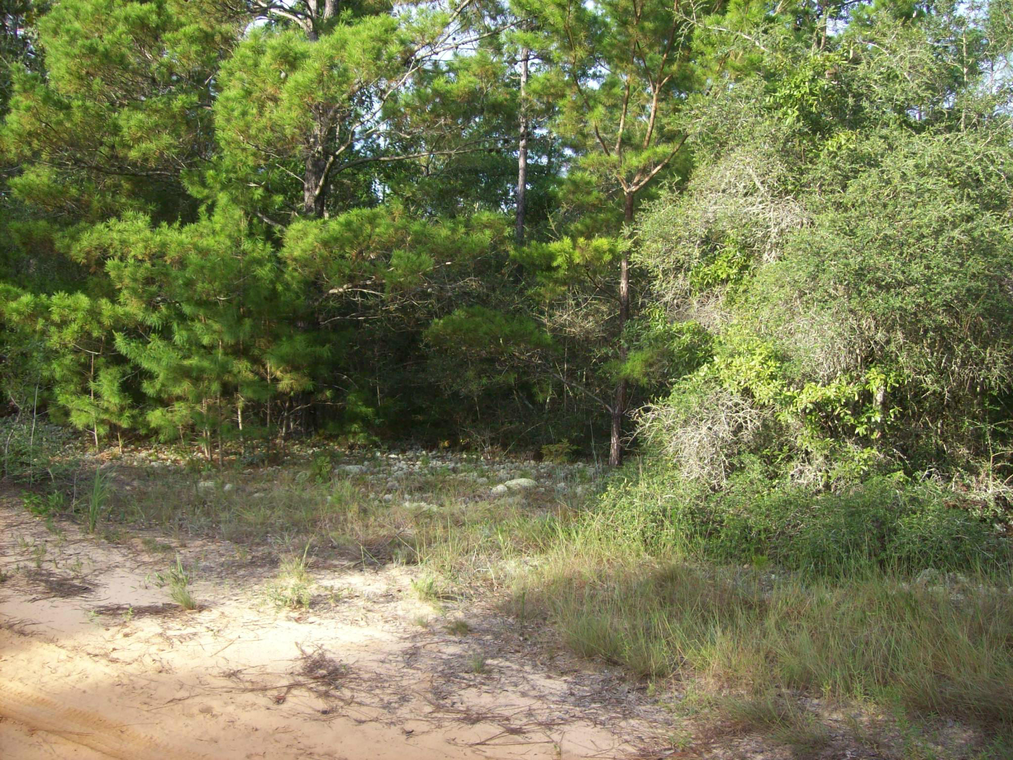 Xxx Randi Road Crestview, FL 32539 - Photo 5 of 5 Gallery Image 5