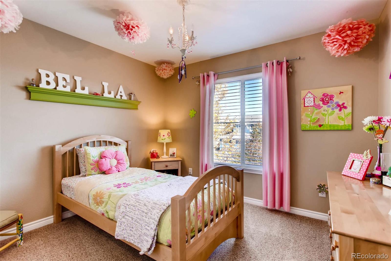 4882 Bluegate Lane Highlands Ranch, CO 80130 - Photo 19 of 27 Gallery Image 19