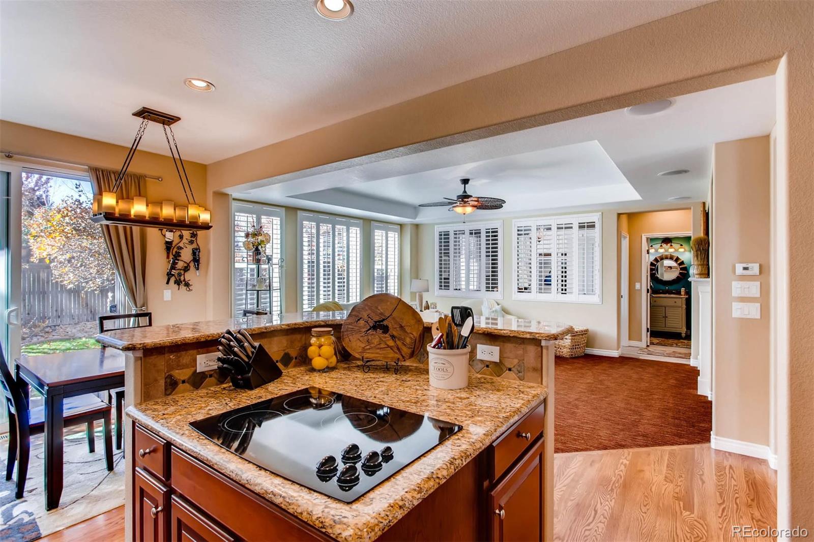 4882 Bluegate Lane Highlands Ranch, CO 80130 - Photo 10 of 27 Gallery Image 10