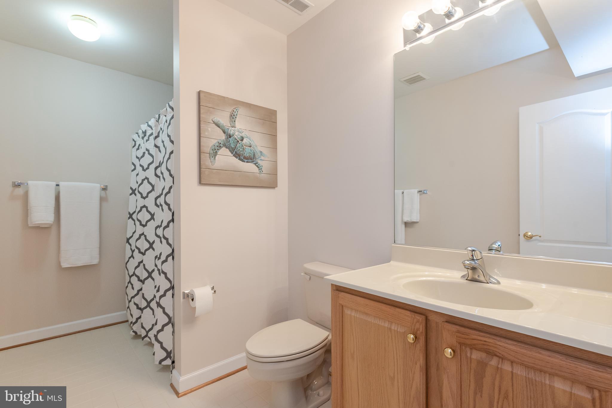 2735 Dunleer Road Ellicott City, MD 21042 - Photo 38 of 45 Bathroom