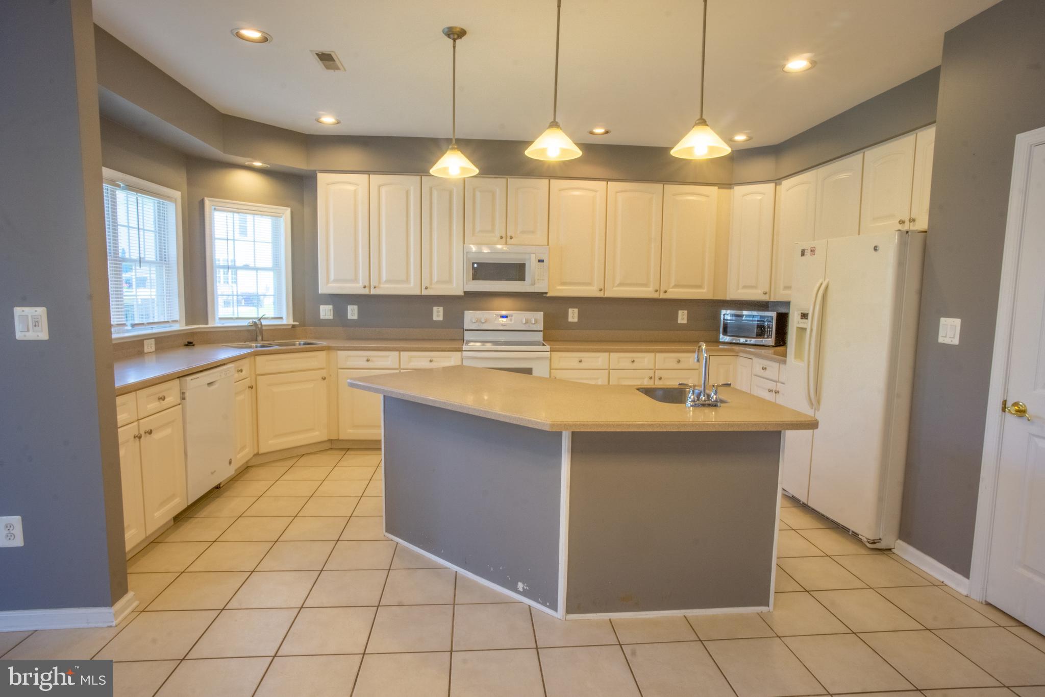 10 Ailsa Court Rising Sun, MD 21911 - Photo 3 of 36 Gourmet Kitchen