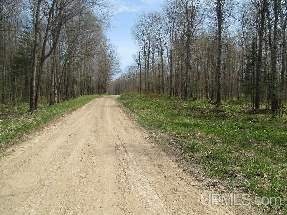 Tbd Johnson Creek Road Chatham, MI 49816 - Photo 13 of 28 Gallery Image 13
