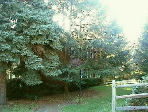 4519 Middle Road Allison Park, PA 15101 - Photo 8 of 8 Gallery Image 8