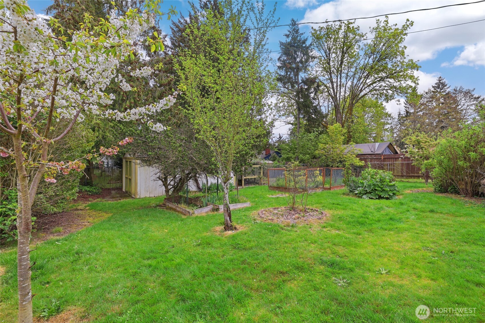 11406 12th Avenue Southwest Seattle, WA 98146 - Photo 28 of 30 a view of a backyard with large trees