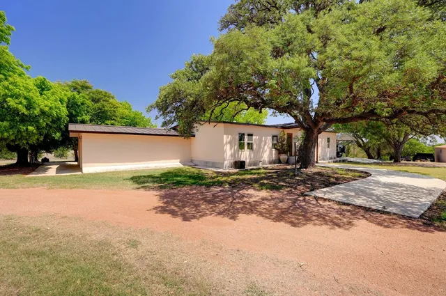 a view of a yard with plants and a tree