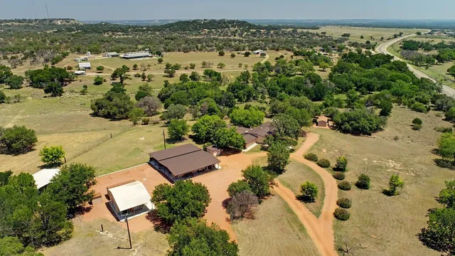 a view of a yard with plants and trees