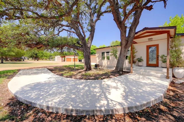 a view of a yard with plants and trees