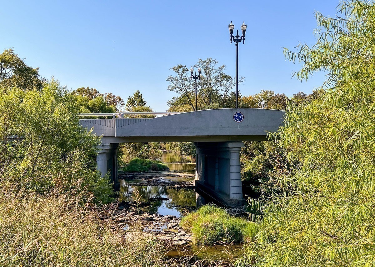 243 Mackenzie Way Lewisburg, TN 37091 - Photo 50 of 51