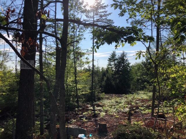 Lot 4 Naples Road Harrison, ME 04040 - Photo 5 of 11 IMG_9226