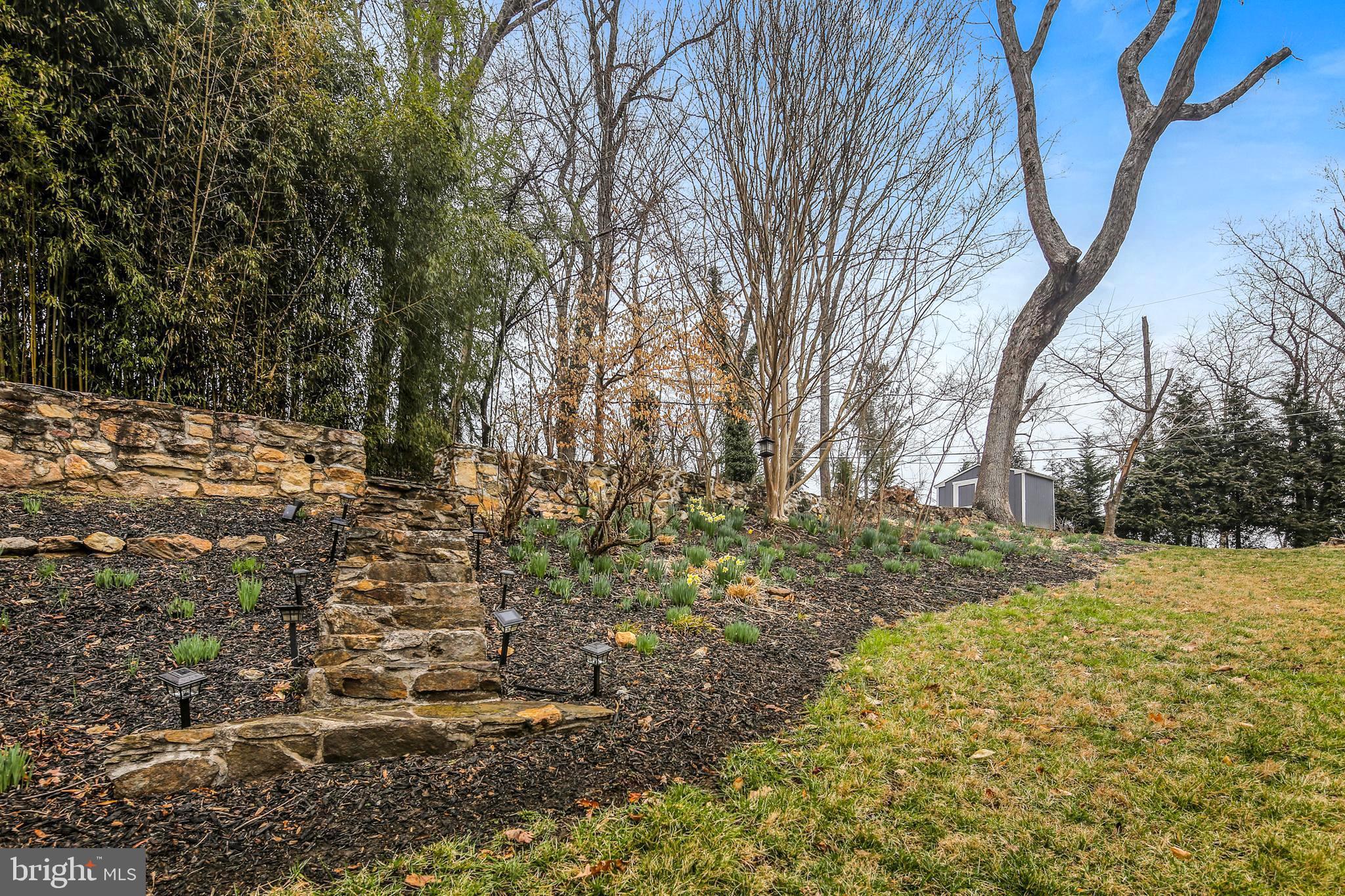 2205 Pot Spring Road Lutherville-Timonium, MD 21093 - Photo 38 of 46 Rear Yard