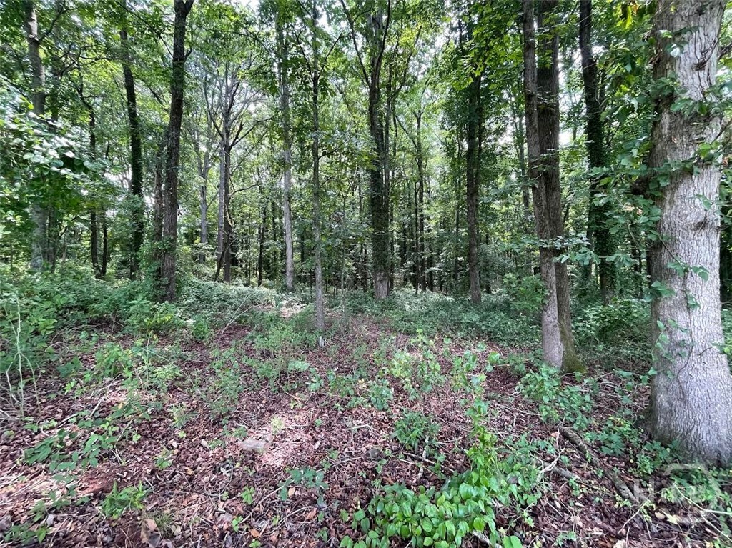 646 Harris Lord Cemetery Road Commerce, GA 30530 - Photo 5 of 22 Gallery Image 5