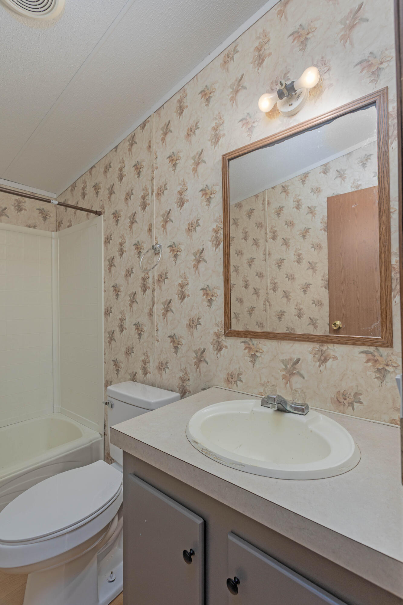 316 Len Mar Road Spring City, TN 37381 - Photo 27 of 36 Bath
