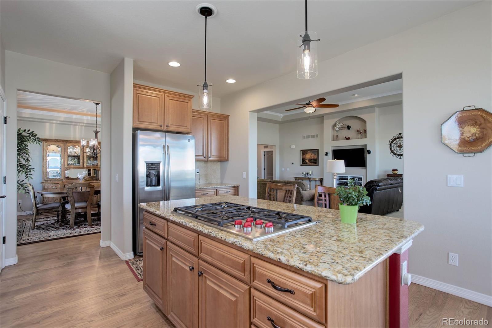 3441 Antelope Ridge Trail Parker, CO 80138 - Photo 16 of 50 a kitchen with refrigerator and stove