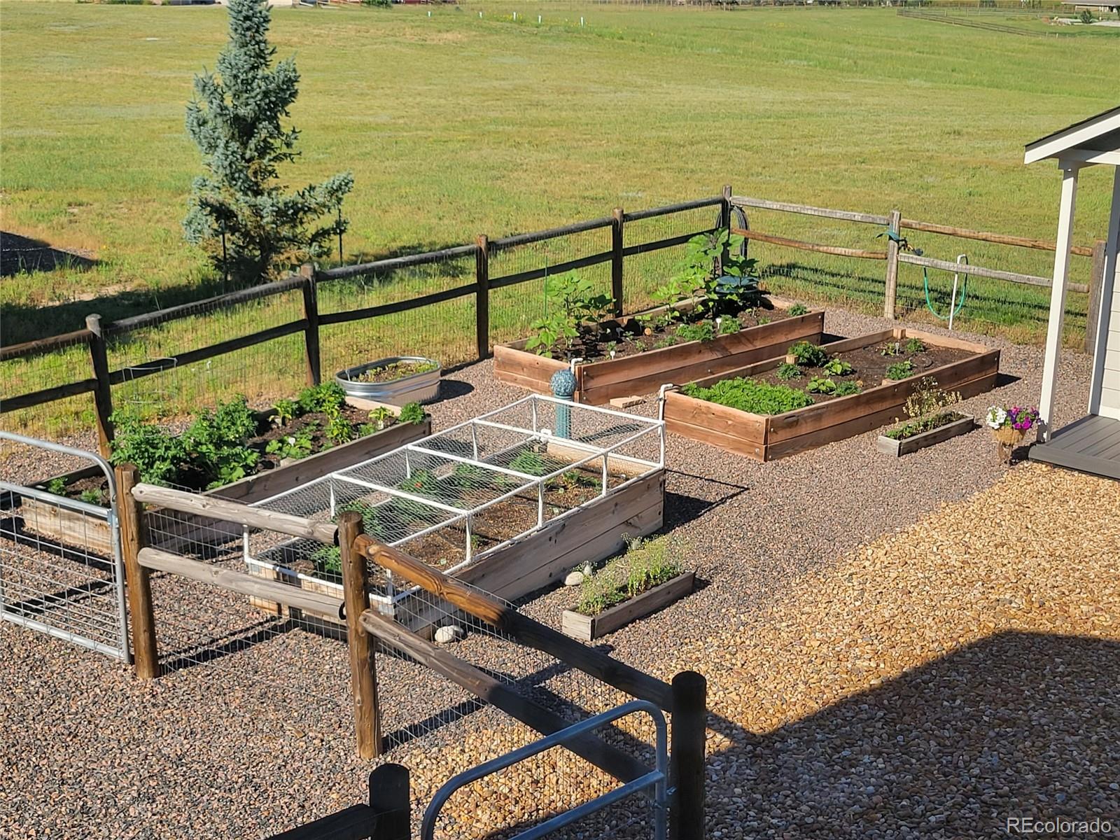 3441 Antelope Ridge Trail Parker, CO 80138 - Photo 47 of 50 a view of a terrace with chairs