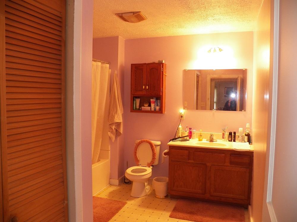 253 Howard Road Loudon, TN 37774 - Photo 14 of 31 133_0593