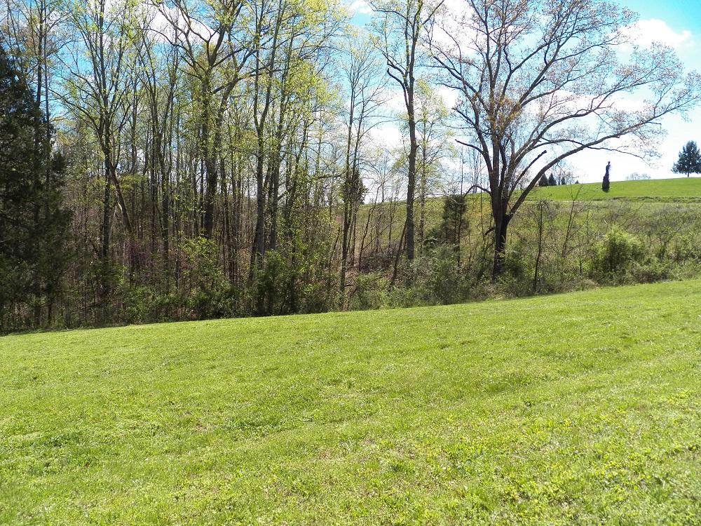 253 Howard Road Loudon, TN 37774 - Photo 25 of 31 133_0649