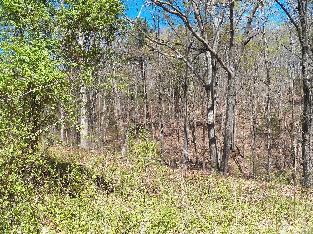 253 Howard Road Loudon, TN 37774 - Photo 26 of 31 133_0650